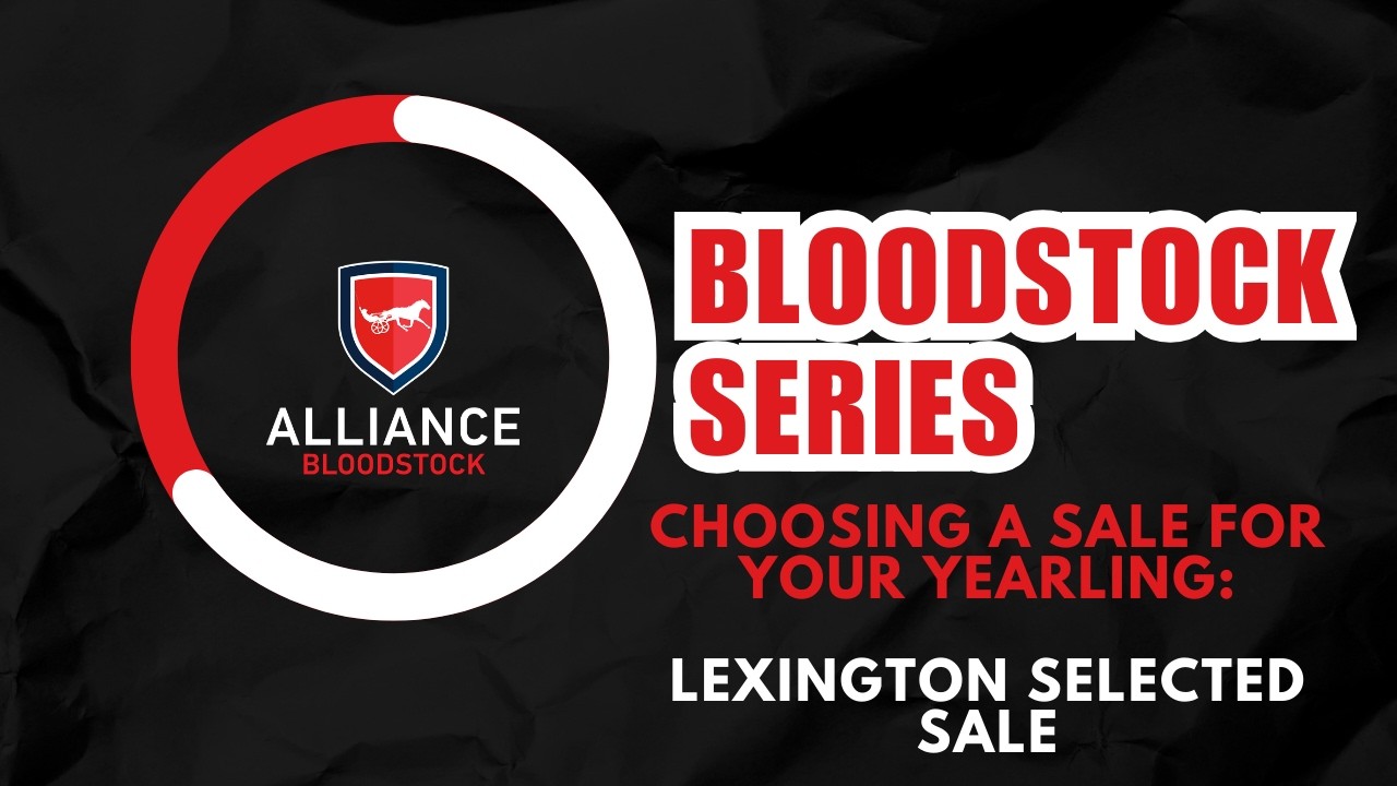 Choosing A Sale For Your Yearling: Lexington Selected Yearling Sale