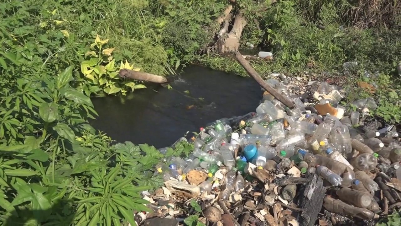 REALIZAN LIMPIEZA EN DESEMBOCADURA DEL RÍO GRANDE