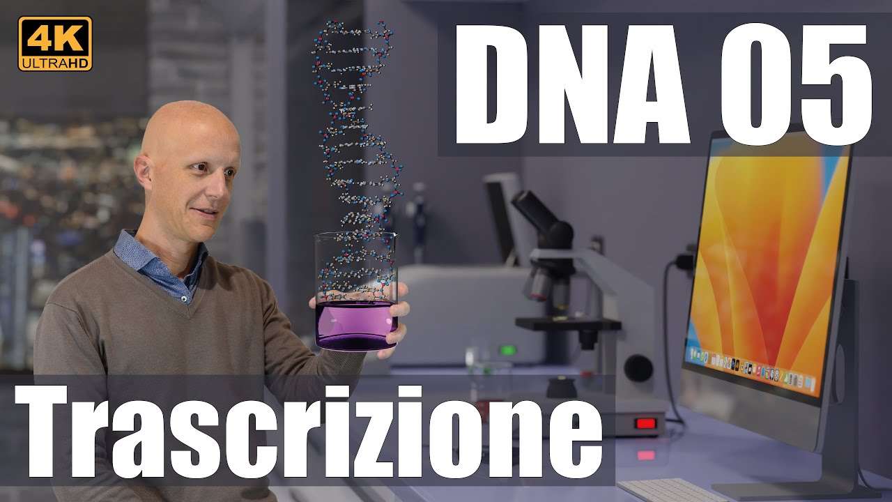 DNA 05: La trascrizione e l'espressione genica (4K UHD)