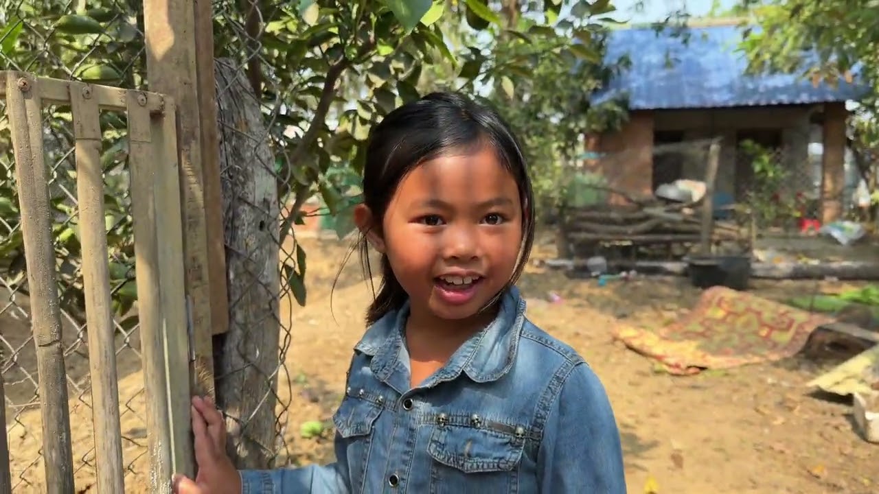 សកម្មភាពនាយក្រិននៅផ្ទះ