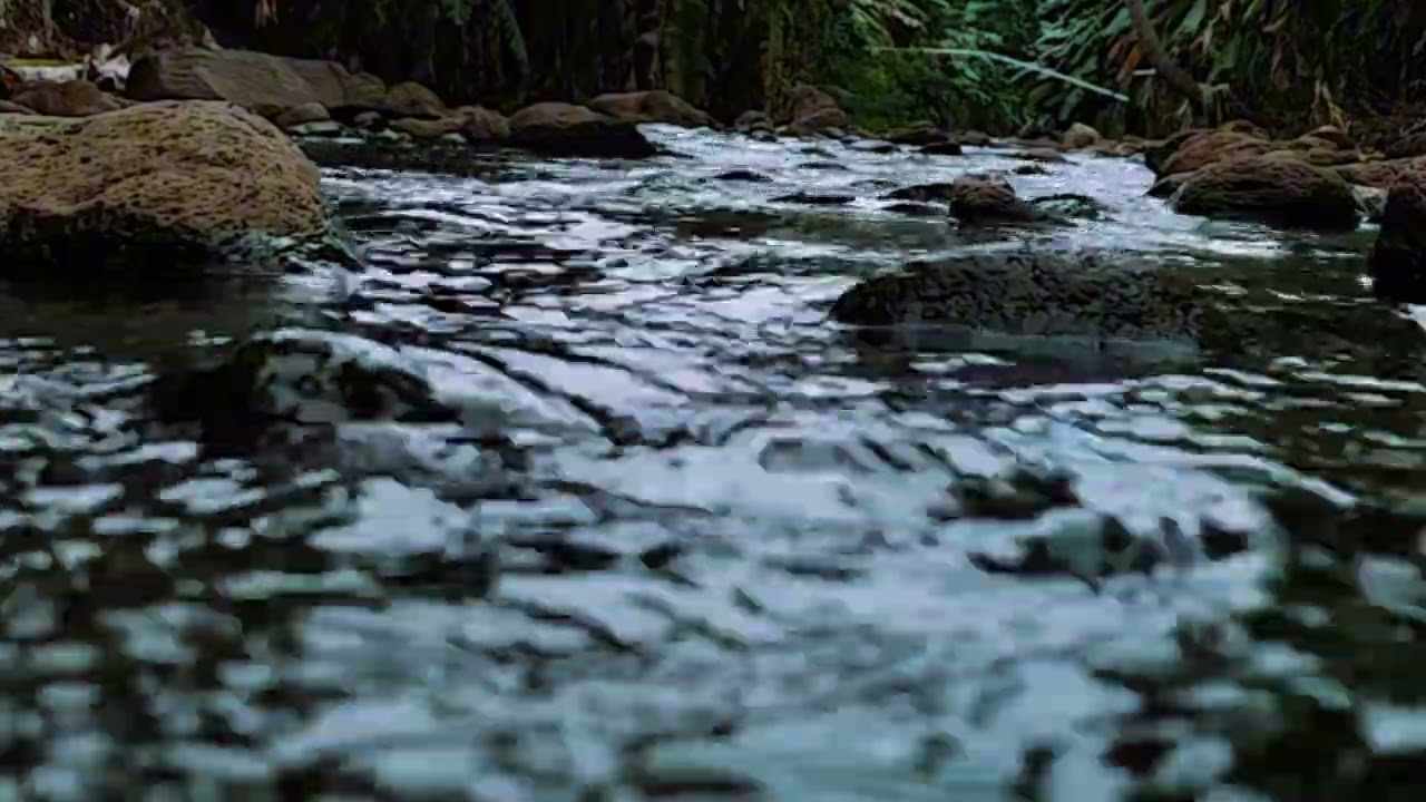 “Relaxing River Flow – Nature Sounds for Relaxation & Meditation”