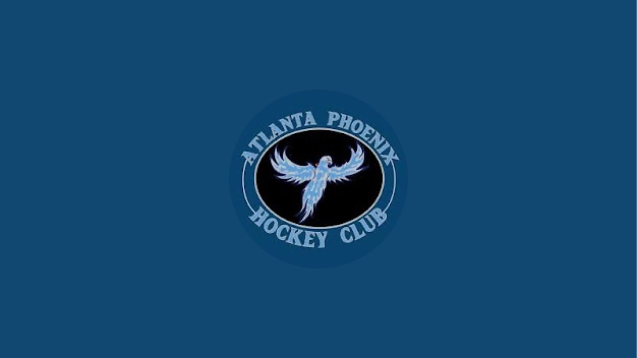 Atlanta Phoenix 10U AA vs South Hampton Warriors: 3-6