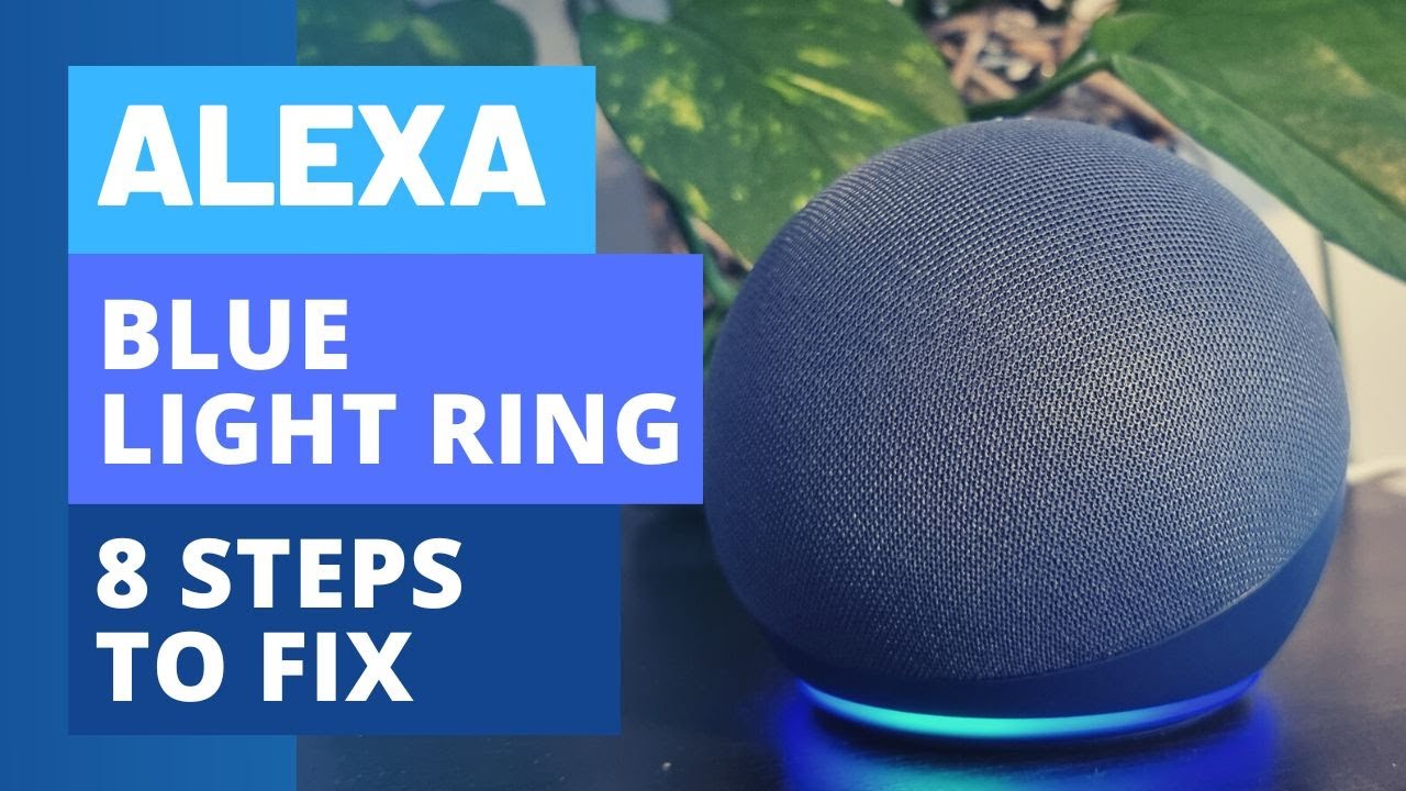 8 Steps to Fix the Alexa Blue Spinning Light Ring
