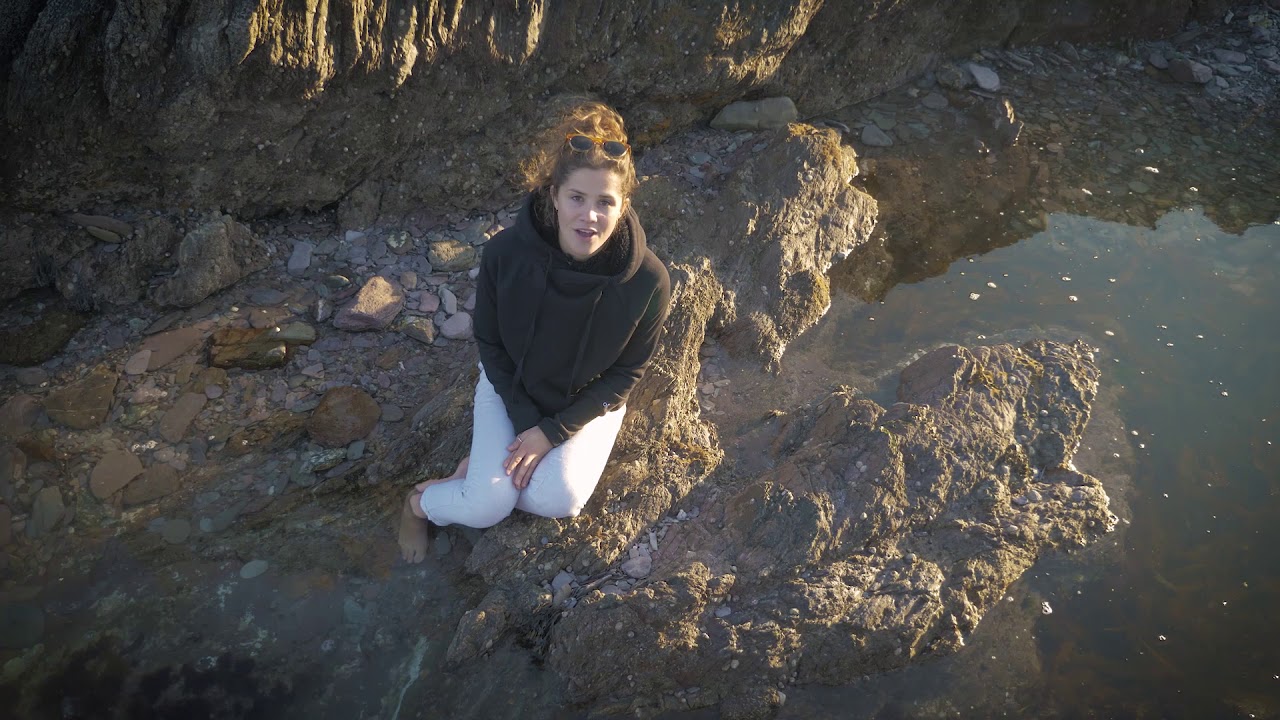 Seaweeds on the UK Coast
