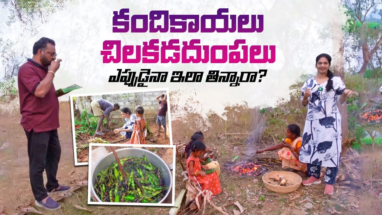 Childhood Memories/ఇలాంటివన్నీ మర్చిపోతున్నాం…@MADGARDENER   #villagelife #farming #gardening 