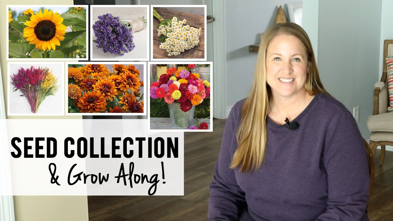 Cut Flower Seed Collection & Grow Along!!  Sunshine & Flora