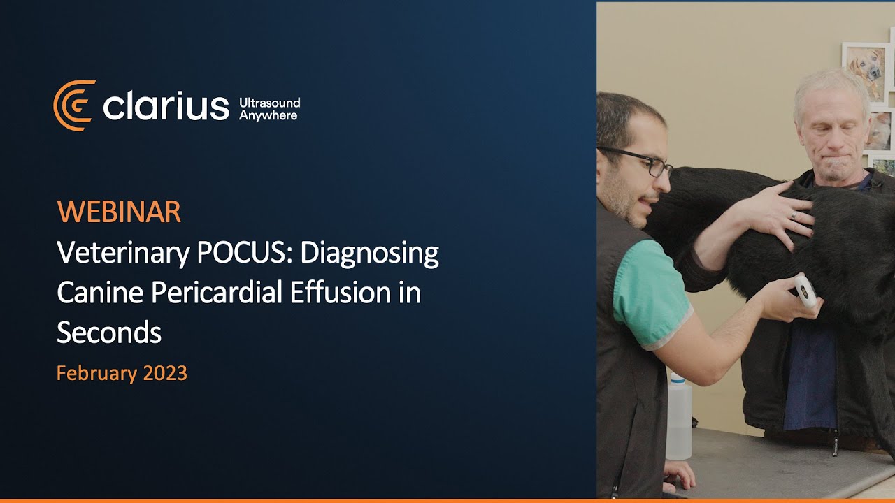 Veterinary POCUS: Diagnosing Canine Pericardial Effusion in Seconds