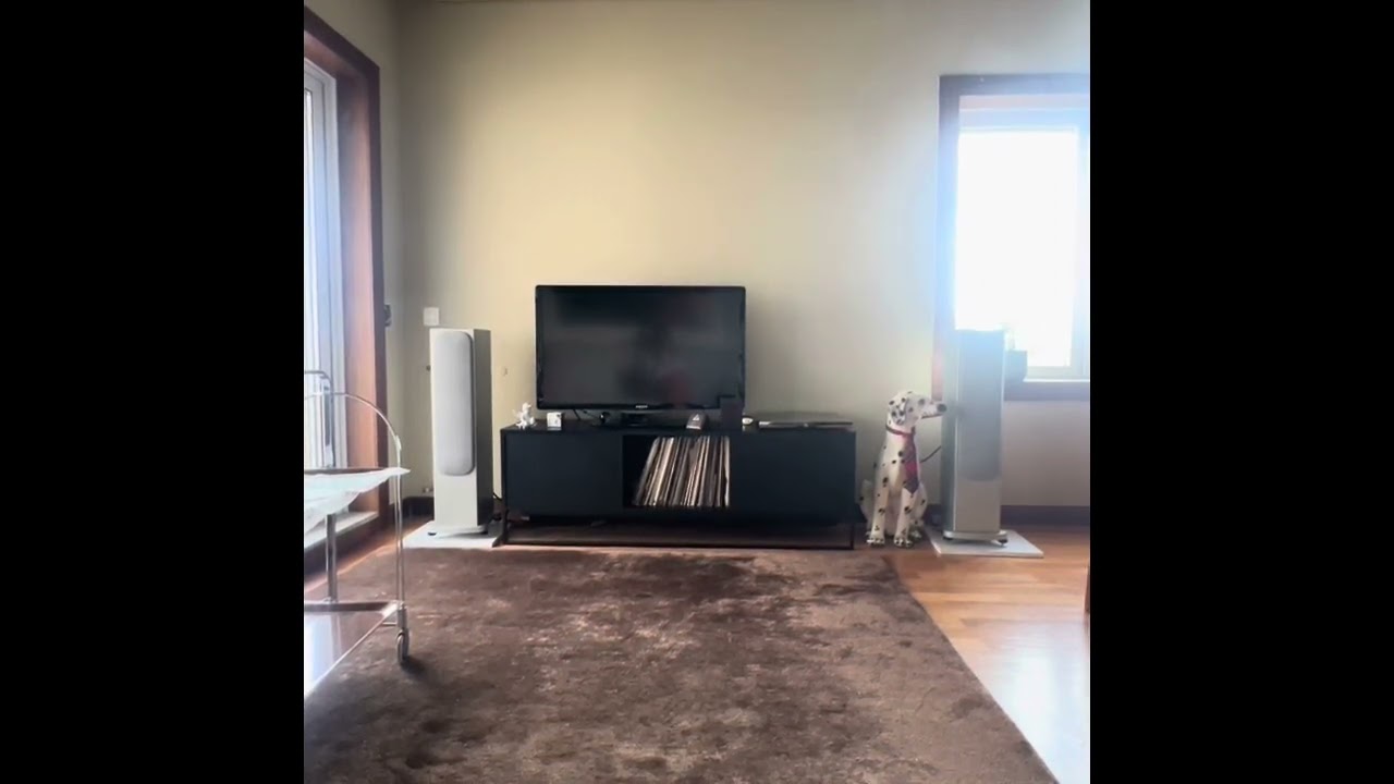 Monitor Audio RS6