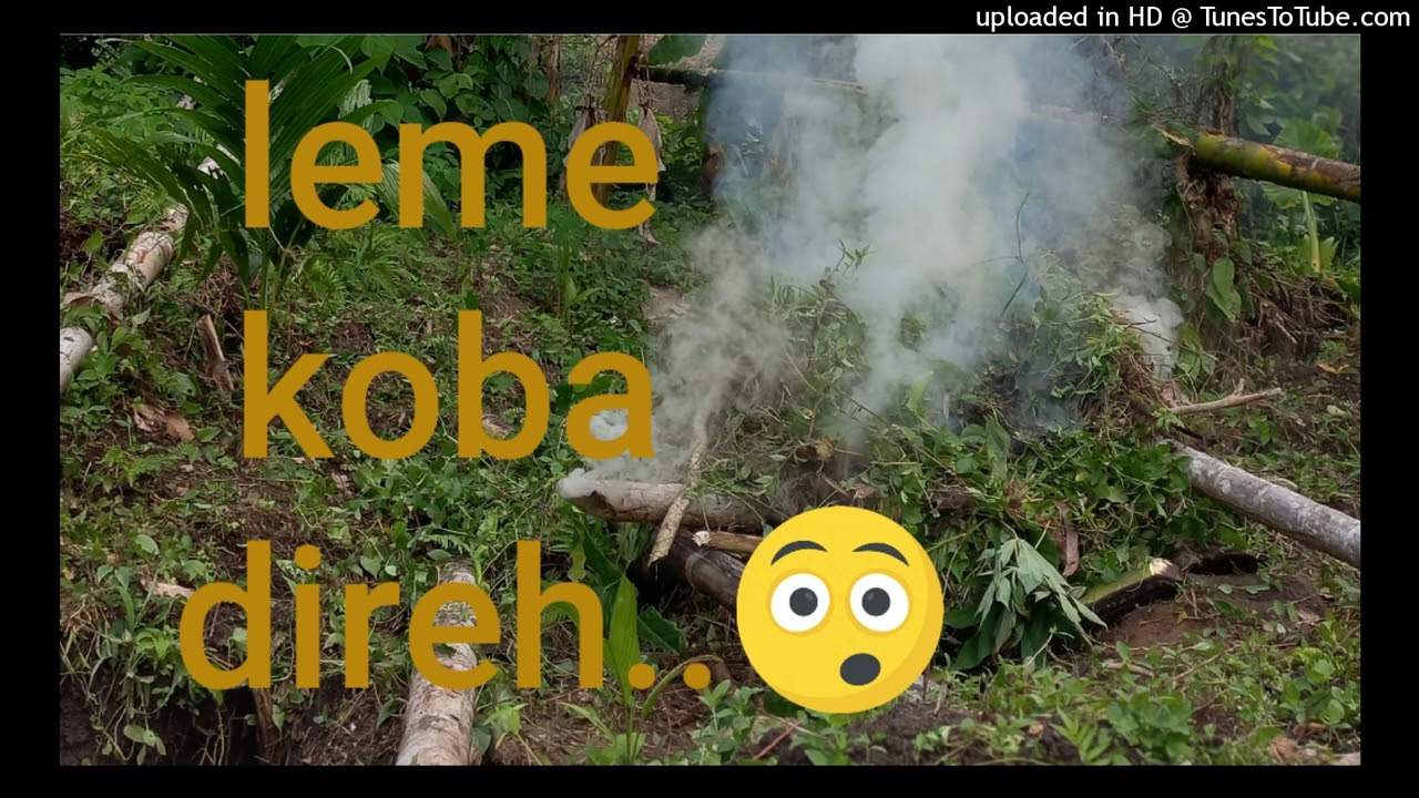 leme koba direh