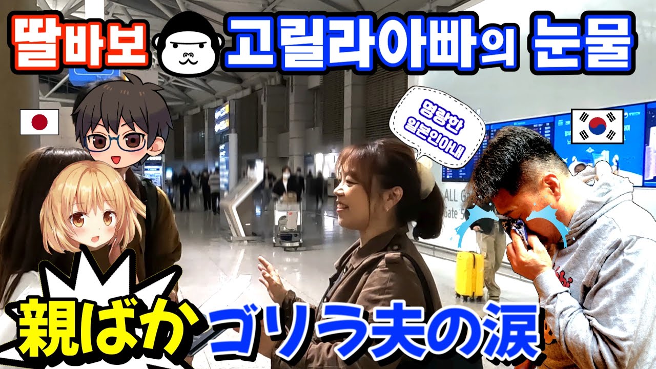 【한일부부/日韓夫婦】딸바보 고릴라아빠의 폭풍눈물🦍😭명랑한일본인아내
