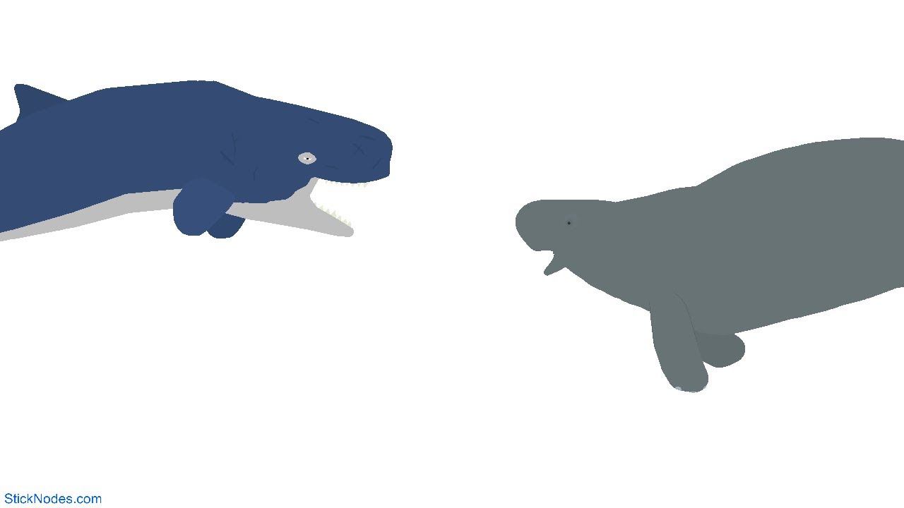 Scp 1813 vs Livyatan Melvillei( New Years Special)!!!!!!!!! 🐳 🐋