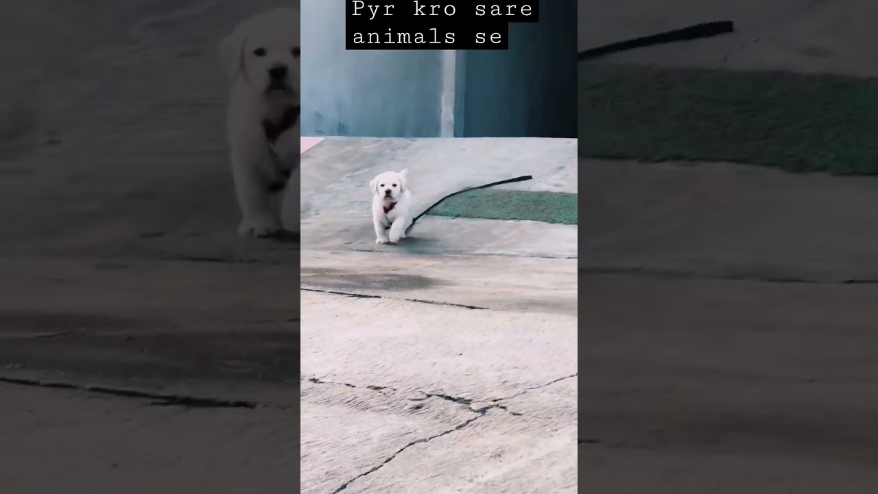 #berojgari