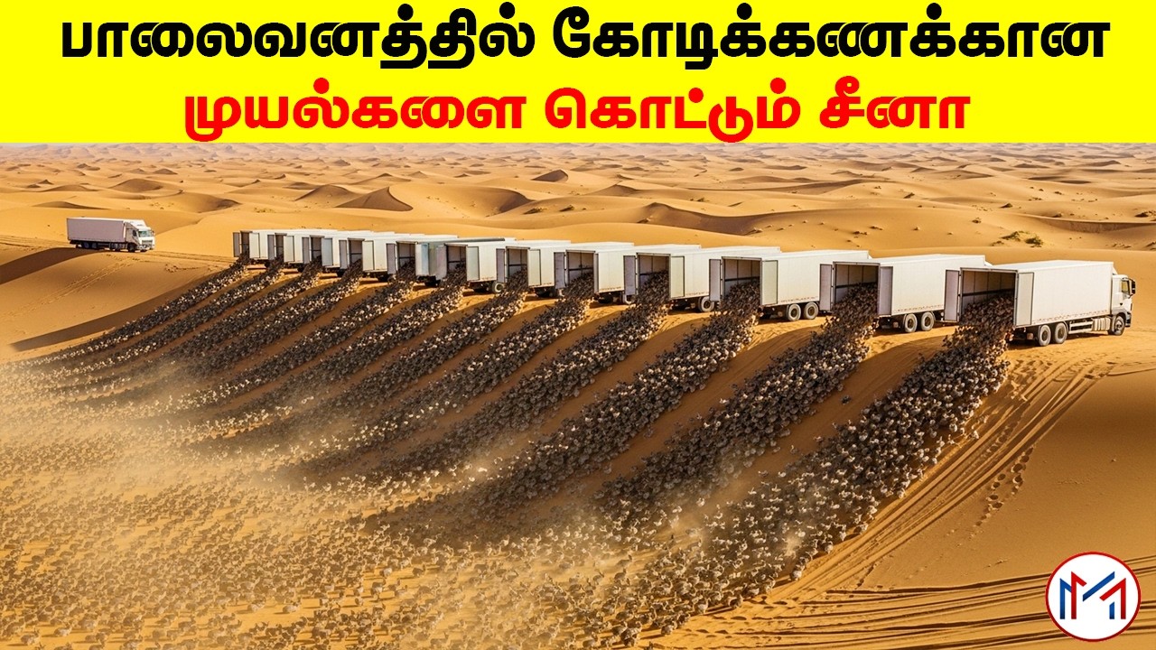 உலகை அதிர வைக்கும் சீனாவின் ரகசிய திட்டம் | Why China Released Millions of Rabbits in Desert | MM