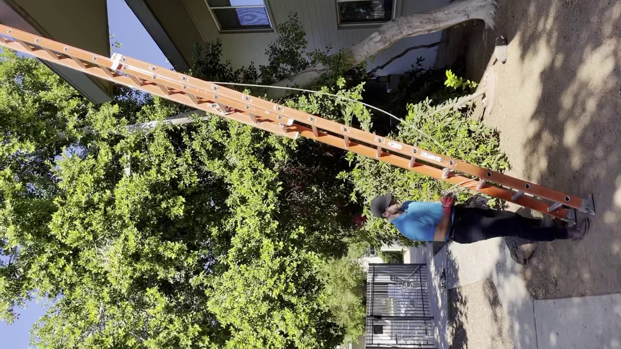 Extension ladder training (takedown)