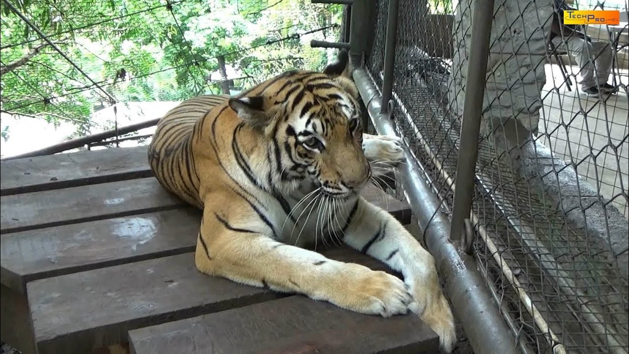 Emperor Valley Zoo