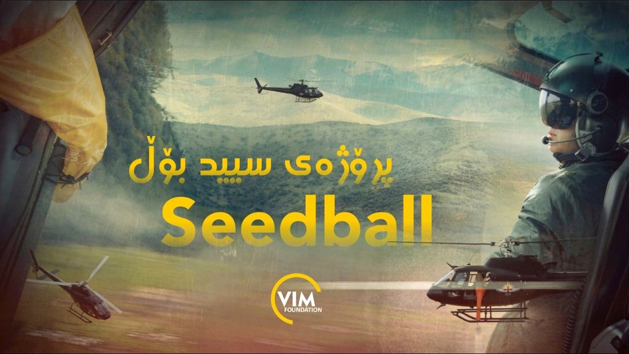 Seedballs Project