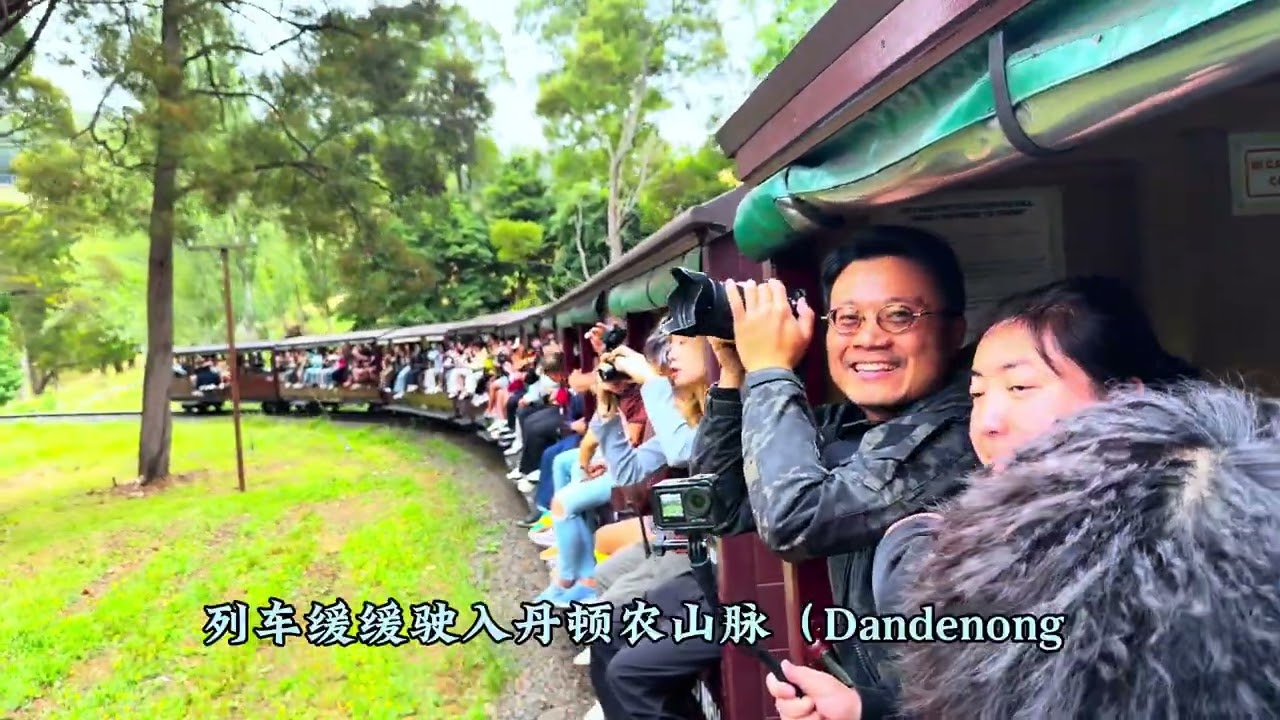 旅行记，乘坐普芬比利蒸汽小火车穿越百年森林。