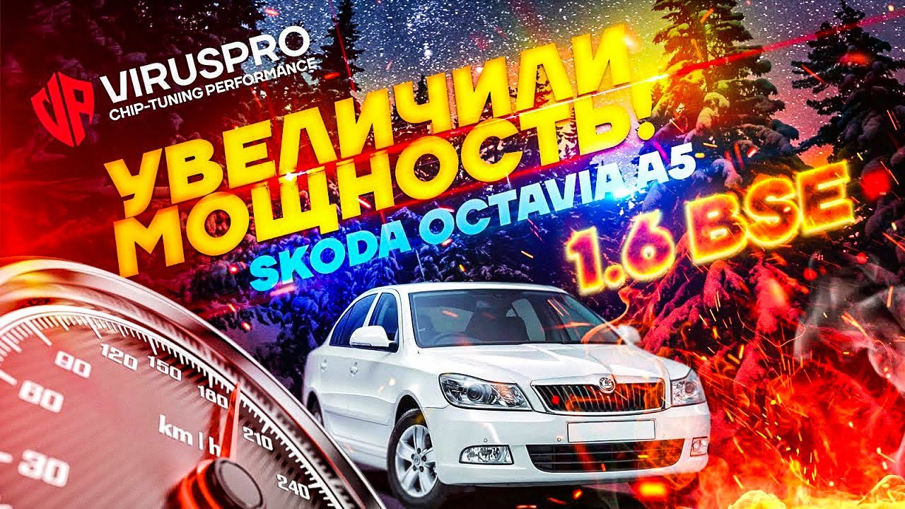 Skoda Octavia  1.6 BSE. Грамотное удаление катализатора + чип + аргон