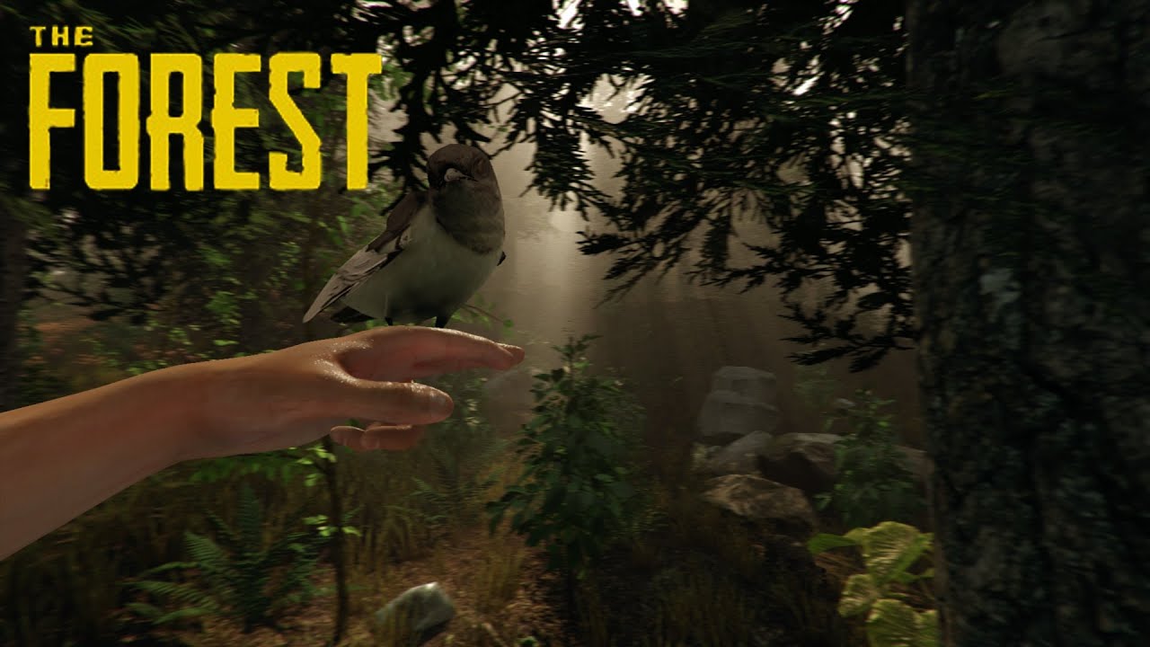 The Forest gameplay - First impressions.