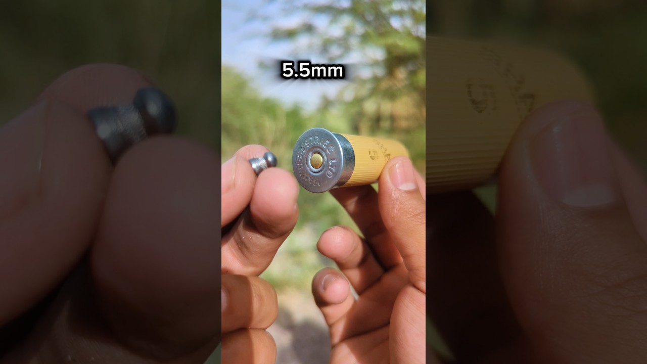 Can an Airgun Pellet Ignite a Shotgun Primer? 💥 #heat