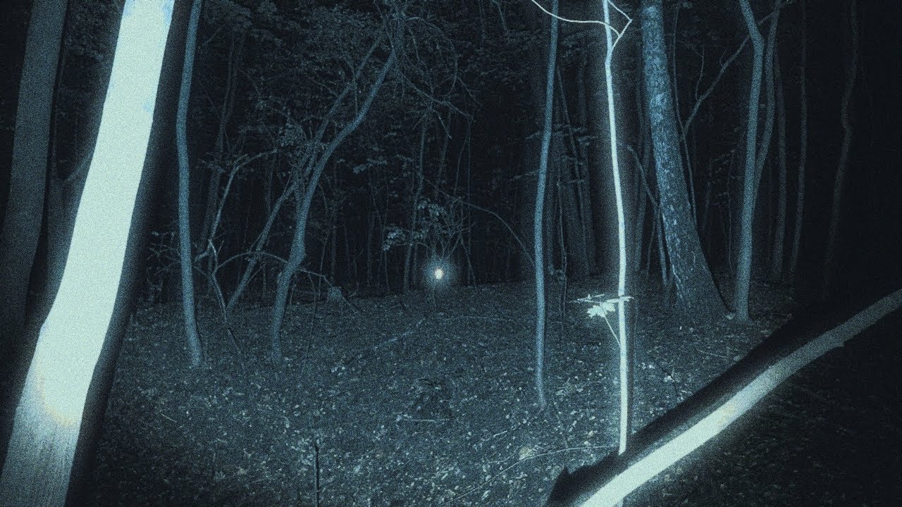 This place feels like new Blair Witch Project