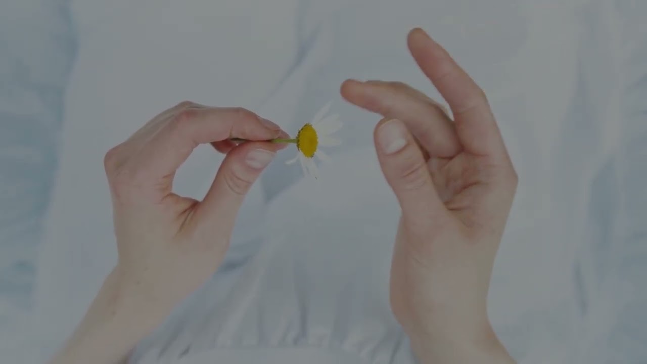 Touch by Touch - Trash the Memory (Official Video)