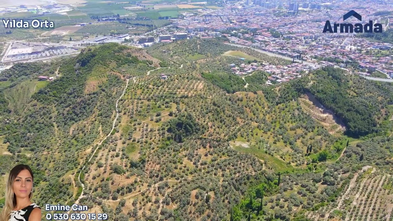 AYDIN S&Ouml;KE'DE 30.000 M2 SATILIK ZEYTİNLİK