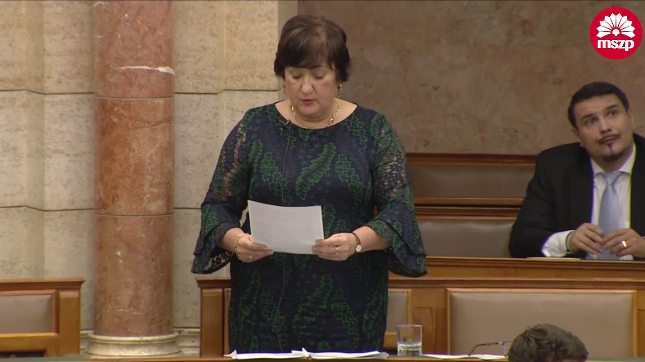 MSZP | Ki seg&iacute;t az elszeg&eacute;nyedő nyugd&iacute;jasokon?