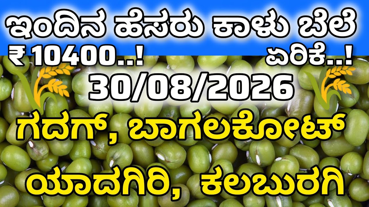 Today's name is MOONG PRICE. In which district is it Gadag Kalaburgi? How much is the rate? #apmc #market