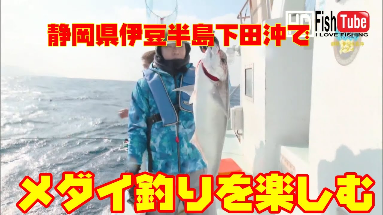 【#Fishing】静岡県伊豆半島下田沖で大物メダイ釣を楽しみます　　Japanese butterfish fishing off Shimoda, Izu Peninsula, Shizuoka
