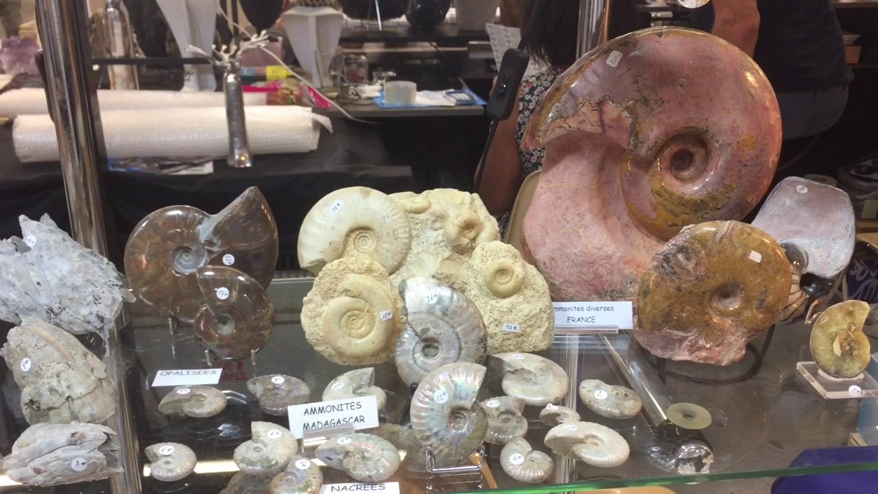 Bourse aux mineraux et fossiles 2017 à Millau