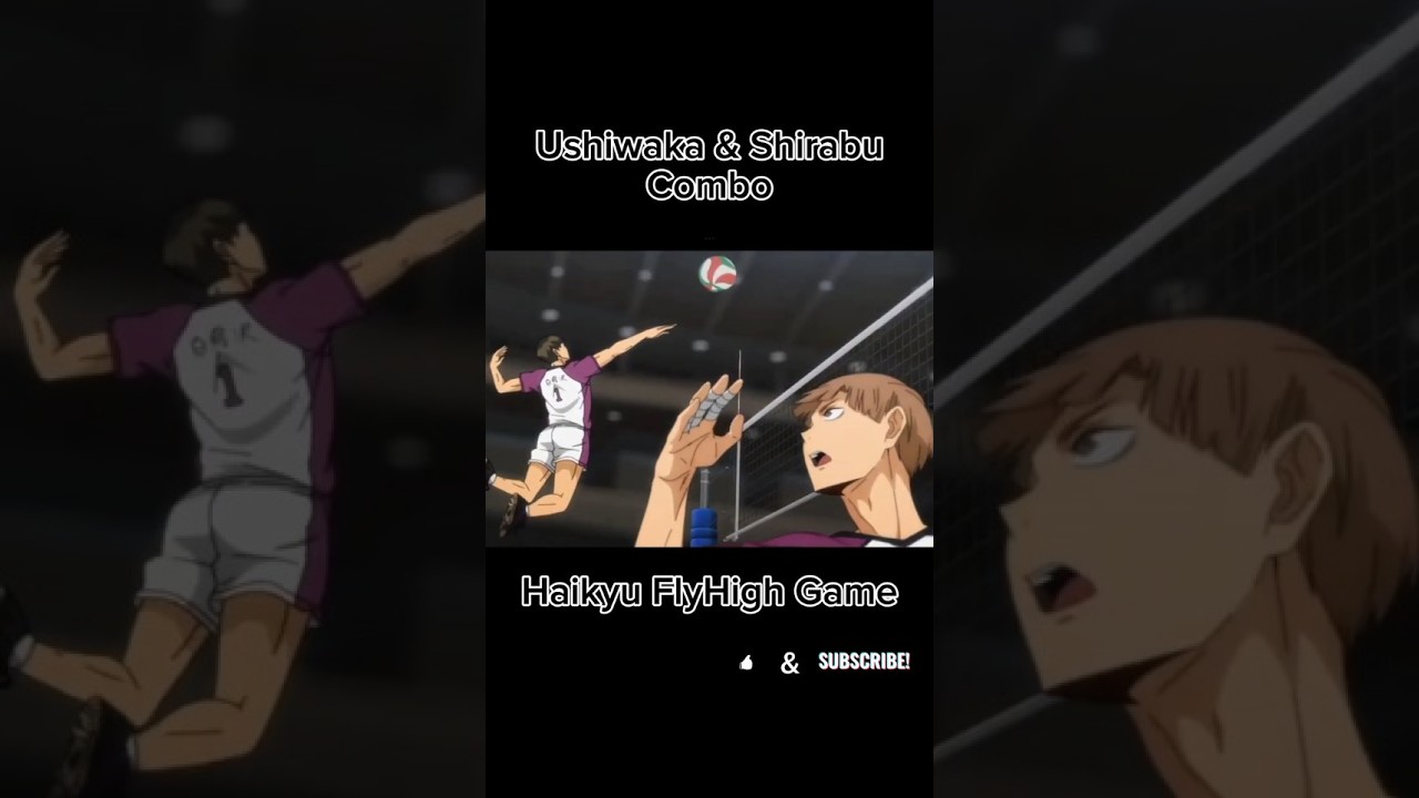 USHIWAKA & SHIRABU KENJIRO COMBO - ハイキュー!!FLY HIGH #haikyuflyhigh #anime #volleyball #ushiwaka