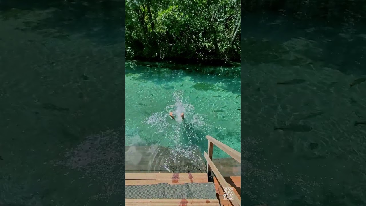 Rio Sucuri, Bonito Brazil