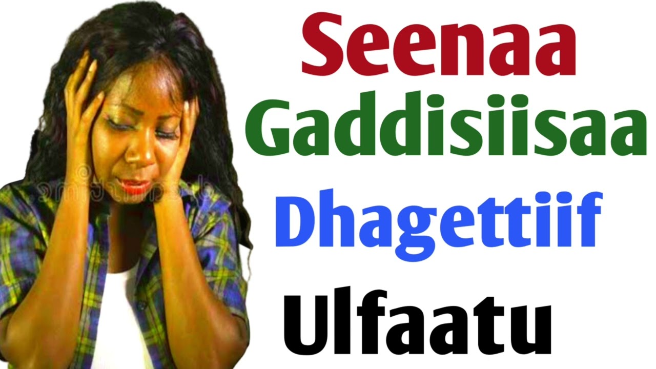 Seenaa Gaddisiisaa Dhaggeeffatamu Qabu Gurraafis Ulfaatu