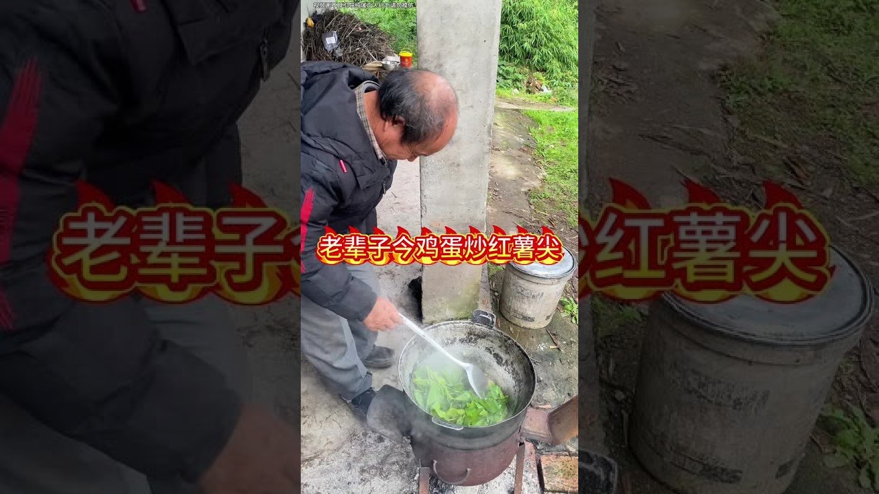 #农村柴火灶 #农村美食记录生活 老辈子今鸡蛋炒红薯尖上线了#伙伴计划官方申请入口 #创造者扶持计划