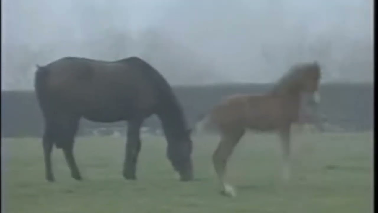 CLASSIC BBC GRAND NATIONAL INTRO
