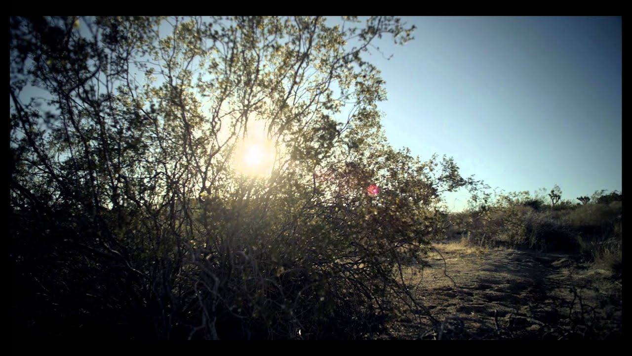 K. ROOSEVELT - THE ONE