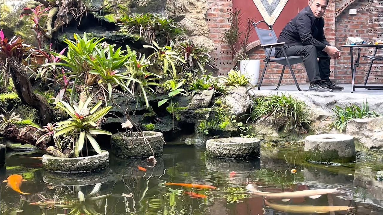 Насладитесь наблюдением за карпами кои у пруда с камнями и отдохните! Садовое кафе! Спокойная атм...