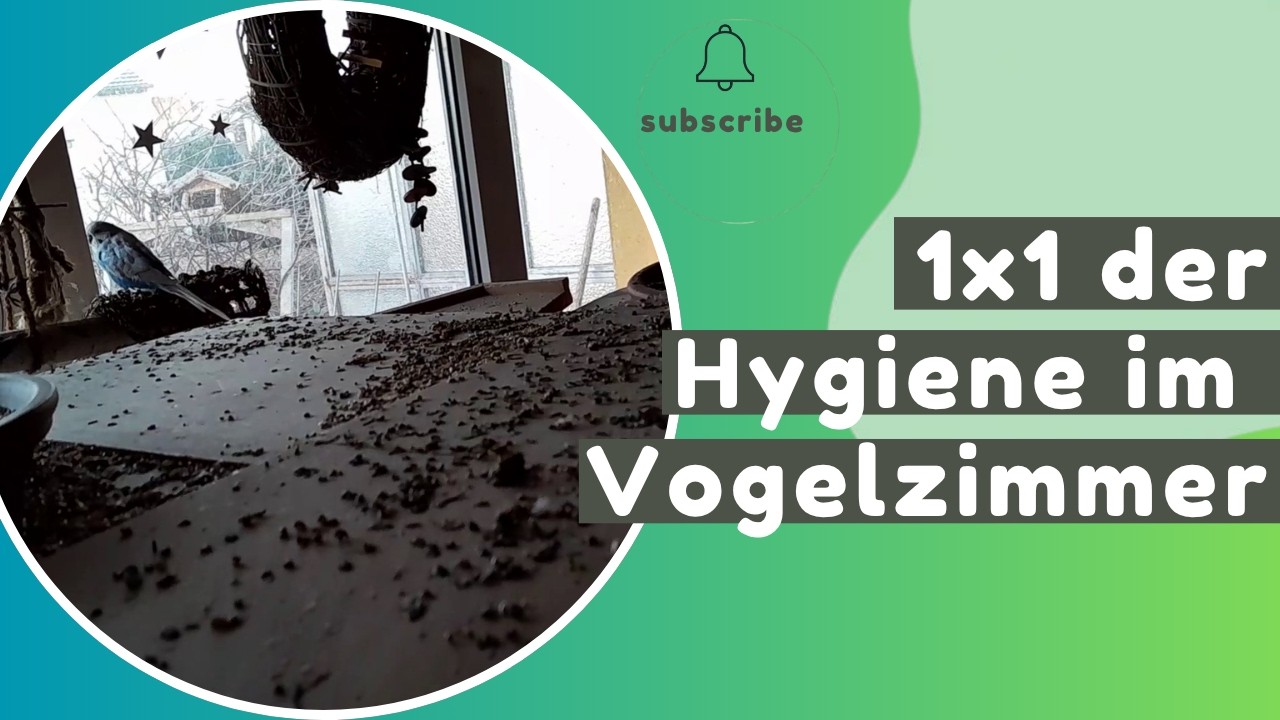 Vogelhalter aufgepasst! Das 1x1 der Hygiene im Vogelzimmer 🚮
