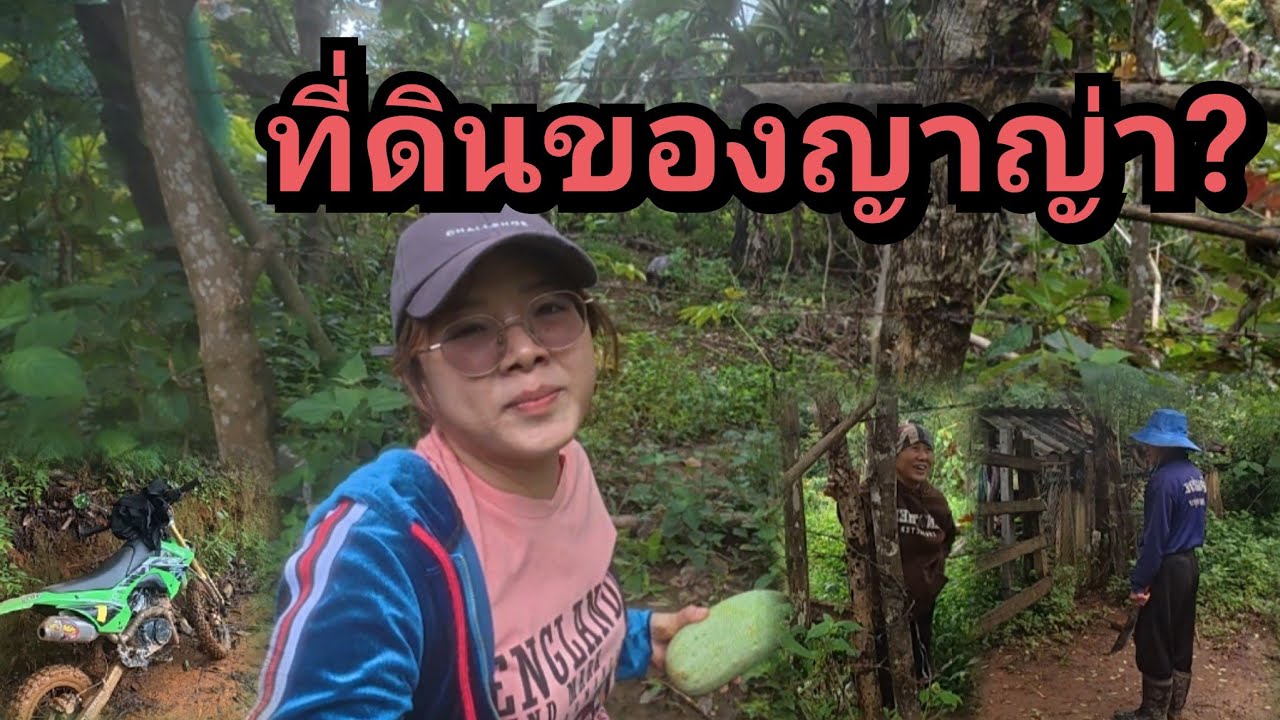 พ่อแบ่งที่ญาญ่าได้ไหม!!! พาไปดูที่ พ่อแบ่งให้ลูกๆทุกคน ปลูกมะนาวและเงาะโรงเรียน จะได้กินหรือเปล่า!?