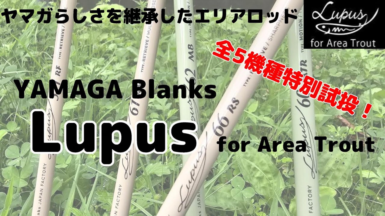 発売間近？ヤマガブランクス『ルーパス エリア』全5機種　試投させてもらった・///【エリアトラウト】I tried all 5 models of Yamaga Blanks “Lupus Area”