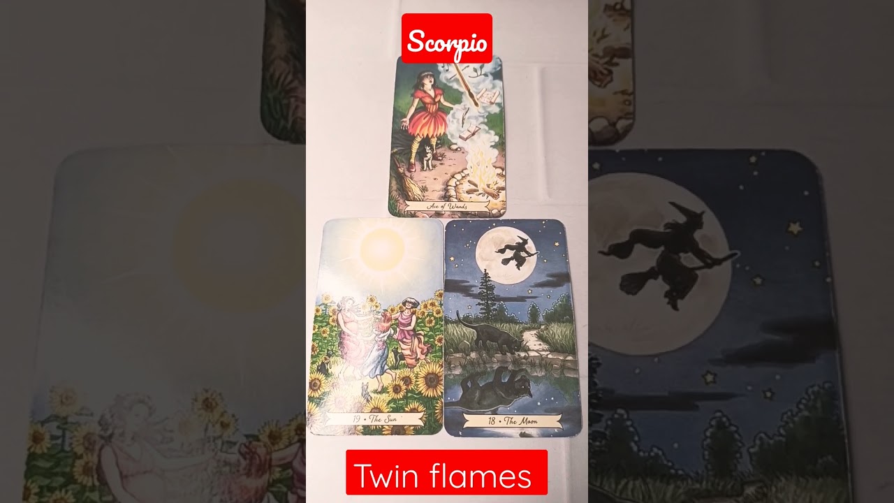 Scorpio ♏️ This could be your TWIN FLAME! #twinflame #shorts #shortsvideo #viral