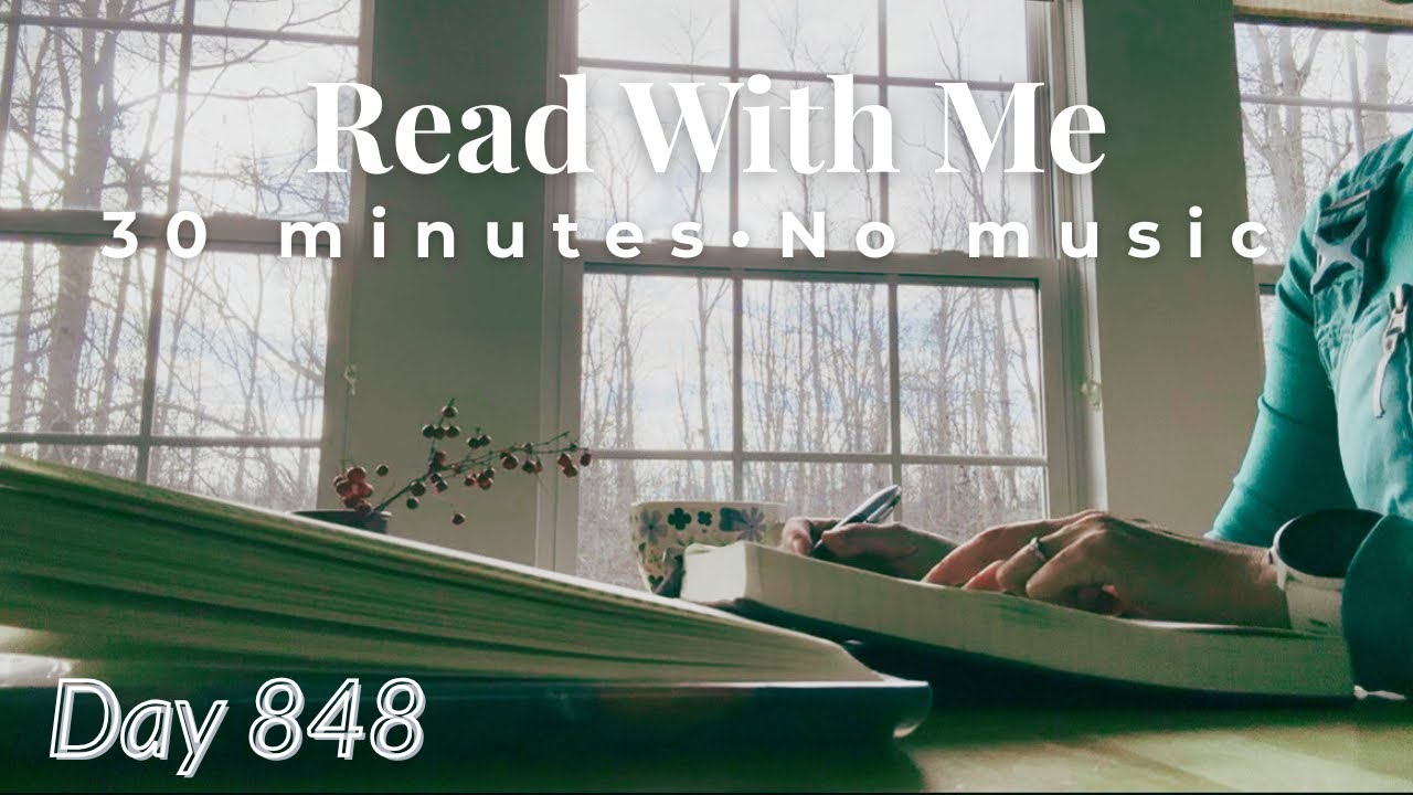 Read With Me by the Window 🌿 | 30 Minutes of Silent Reading · No Music · Day 848