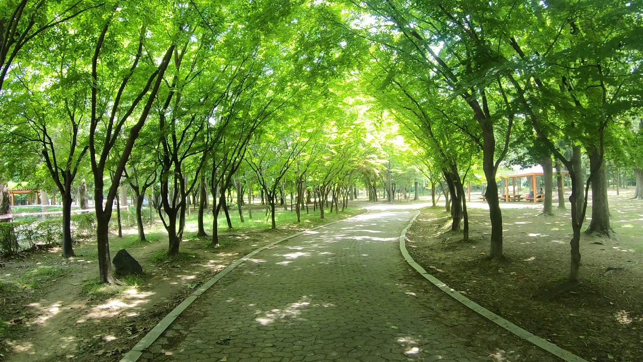 【4k】Walking around Seocho-Gu Yangjae Citizen's Forest, Seoul Korea 서초구 양재 시민의 숲 걷기