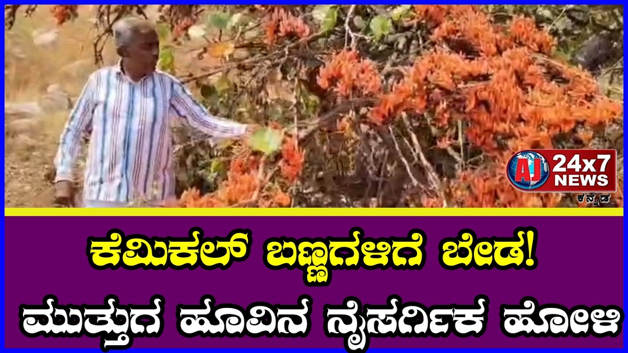 ಹೋಳಿ ಹಬ್ಬಕ್ಕೆ ನೈಸರ್ಗಿಕ ಬಣ್ಣ ಬಳಸಿ! ಮುತ್ತುಗ ಹೂವಿನ ಬಗ್ಗೆ ಉಮೇಶ್ ಮುದ್ನಾಳ ಜಾಗೃತಿ || AJ NEWSKANNADA ||