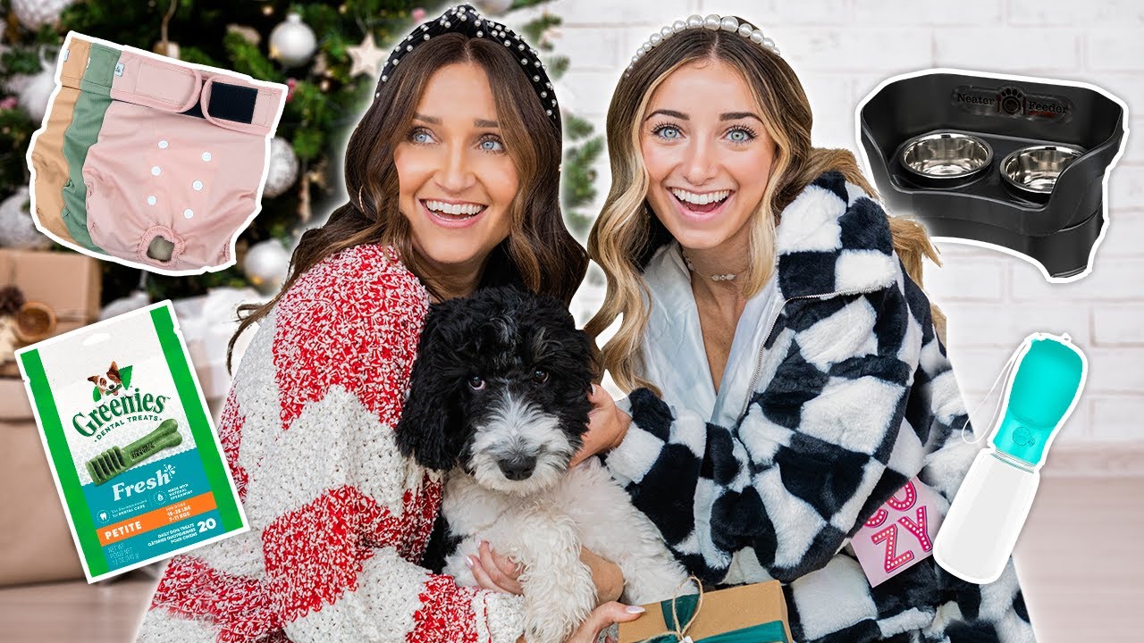 This Year's TOP GIFT IDEAS for Your Dog | Puppy Holiday Gift Guide