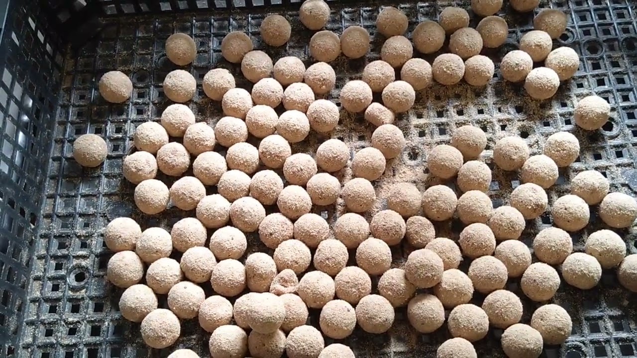Carp baits , boilie making (part two)