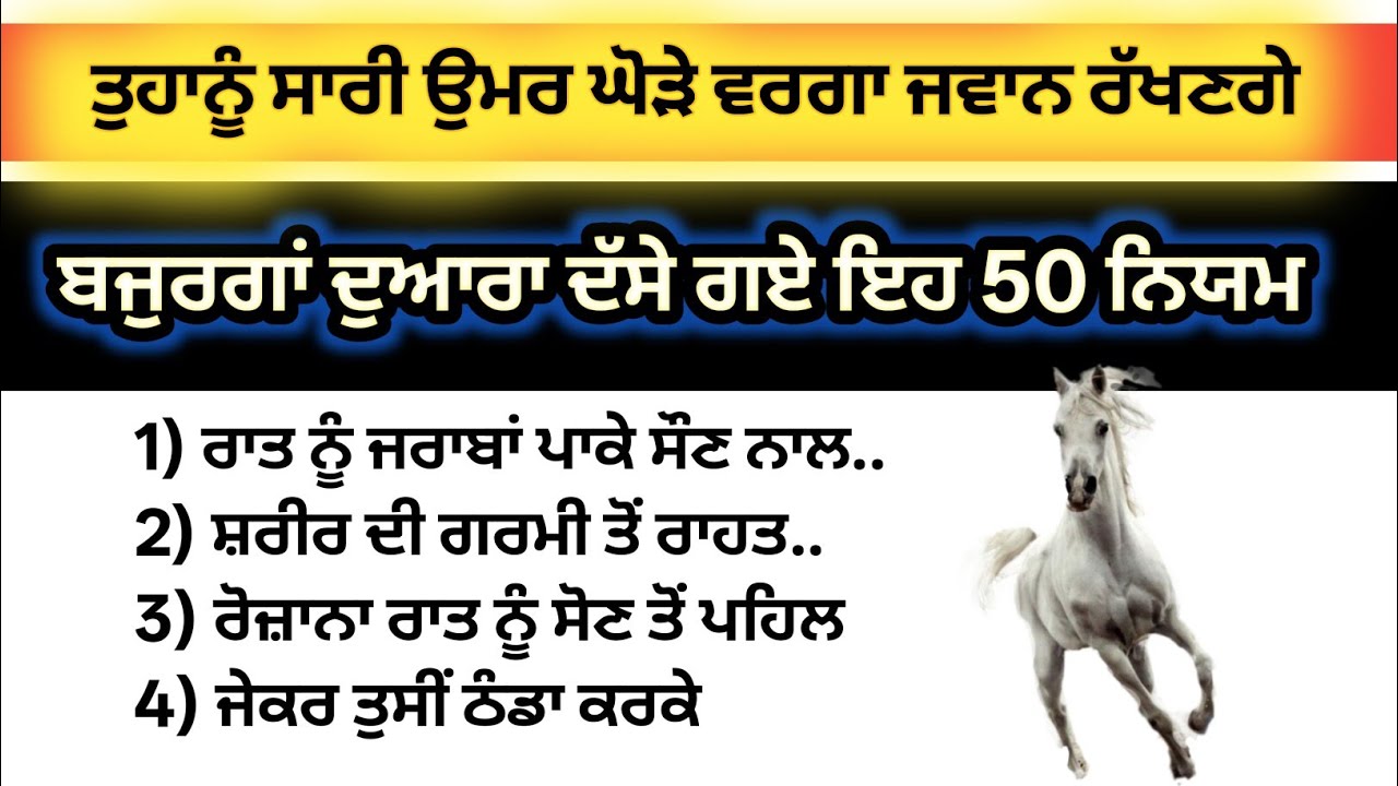 ਤੁਸੀਂ ਸਾਰੀ ਉਮਰ ਘੋੜੇ ਵਰਗੇ ਜਵਾਨ ਰਹੋਗੇ ਬੱਸ ਯਾਦ ਰੱਖੋ 50 ਗੱਲਾਂ /best lines/Punjabi quotes