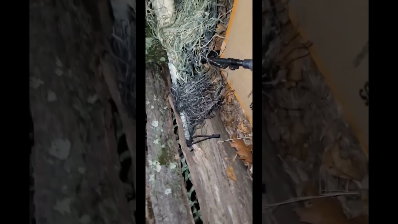 Ukrainian snipers #war #warfootage #Ukraine #sniper #operator #israel #Palestine