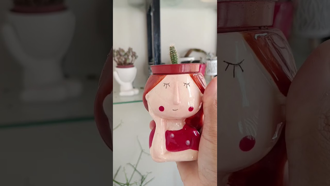 mostrando meus Cactos🌵+mais vaso🪴 de cimento que eu fiz. 